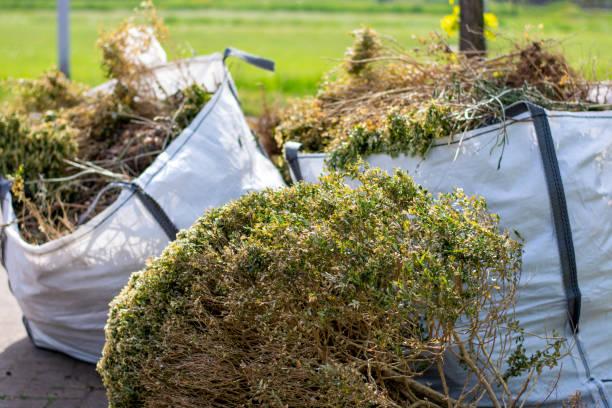 Best Yard Cleanup Services  in West Ack, NY